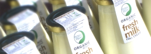Organic Jersey Milk